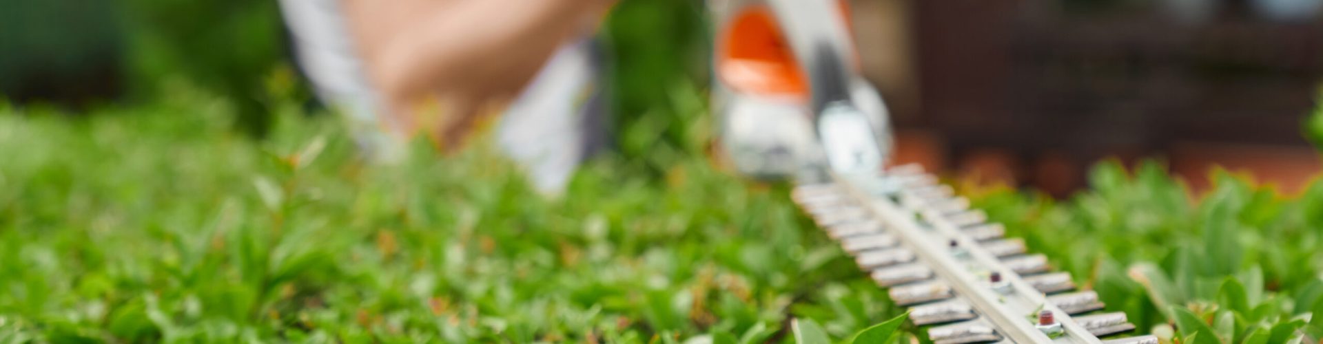 Jardinage et entretien extérieur